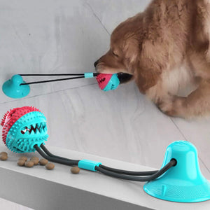 Suction Tug Dog Toy - Free Shipping