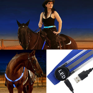 Rechargeable LED Horse Breast Collar - Free Shipping