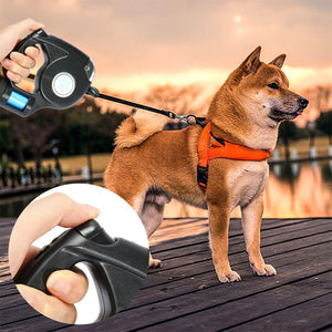4.5M LED Retractible Dog Leash Flashlight