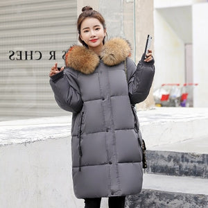 Womens Winter Hooded Warm Down Coat - Free Shipping