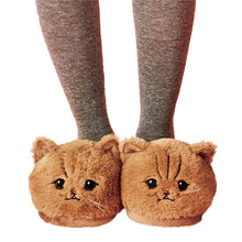 Load image into Gallery viewer, Very Cute Cat Slippers - Various Sizes - Kids and Adults - Free Shipping