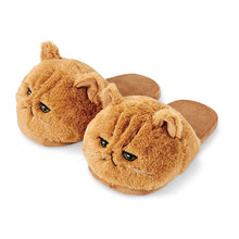 Load image into Gallery viewer, Very Cute Cat Slippers - Various Sizes - Kids and Adults - Free Shipping