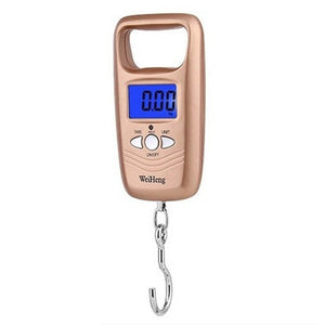 50kg Digital Display Scale - Free Shipping