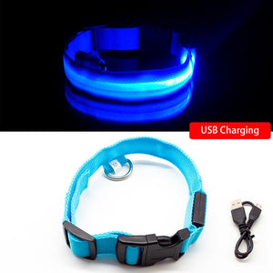 USB Charging Led Dog Collar - Free Shipping