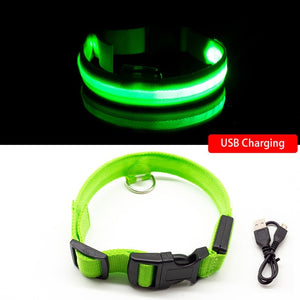USB Charging Led Dog Collar - Free Shipping
