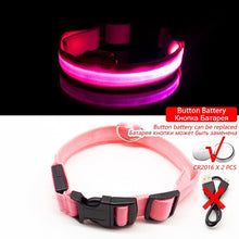 Load image into Gallery viewer, USB Charging Led Dog Collar - Free Shipping