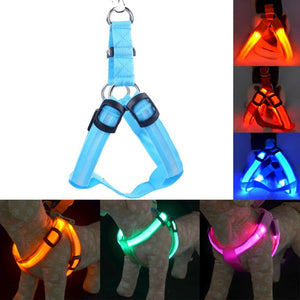 Usb Charging LED Nylon Dog Harness - Free Shipping