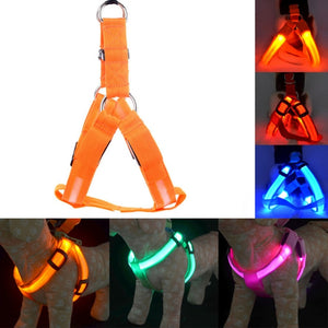 Usb Charging LED Nylon Dog Harness - Free Shipping